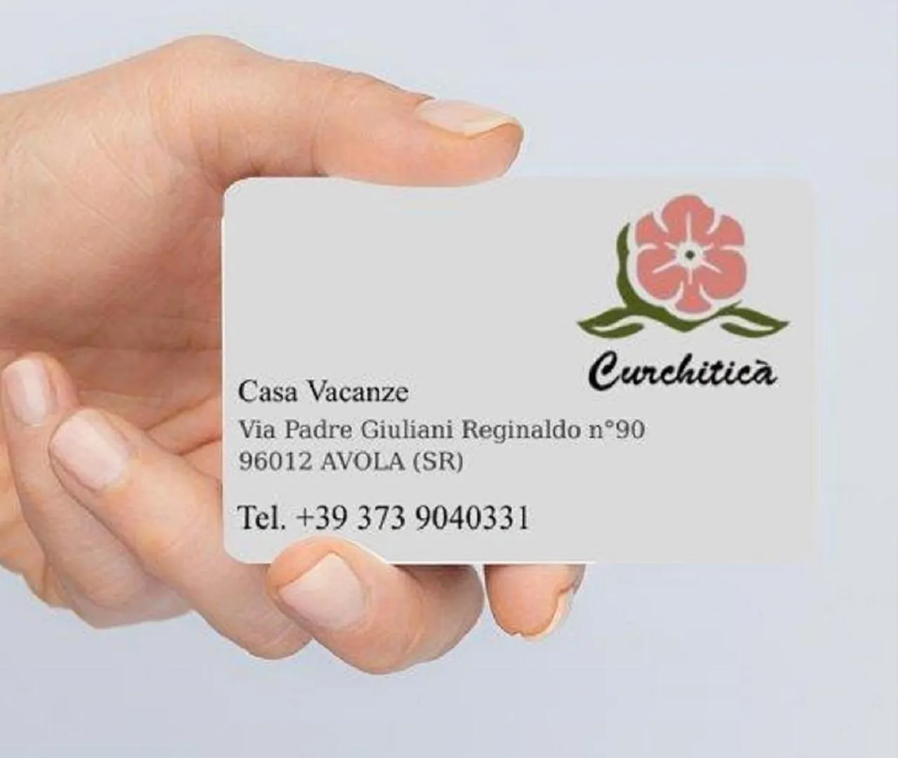 아볼라 Curchitica 빌라